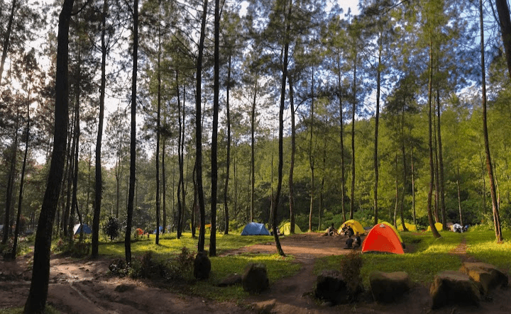 Wisata Jatim: 5 Rekomendasi Tempat Wisata Alam di Daerah Malang, Suasananya Sejuk dan Masih Ada Muncul Kabut