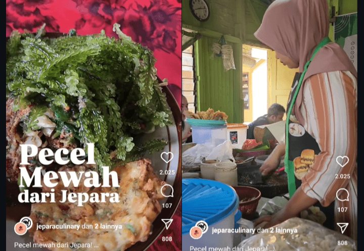 Jelajah Rasa Jateng: Nikmati Pecel Latoh, Pecel Mewah Ala Jepara dengan Topping Anggur Laut