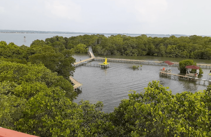5 Rekomendasi Objek Wisata Selain Pantai di Kabupaten Jepara, Ada Hutan Mangrove yang Menawan