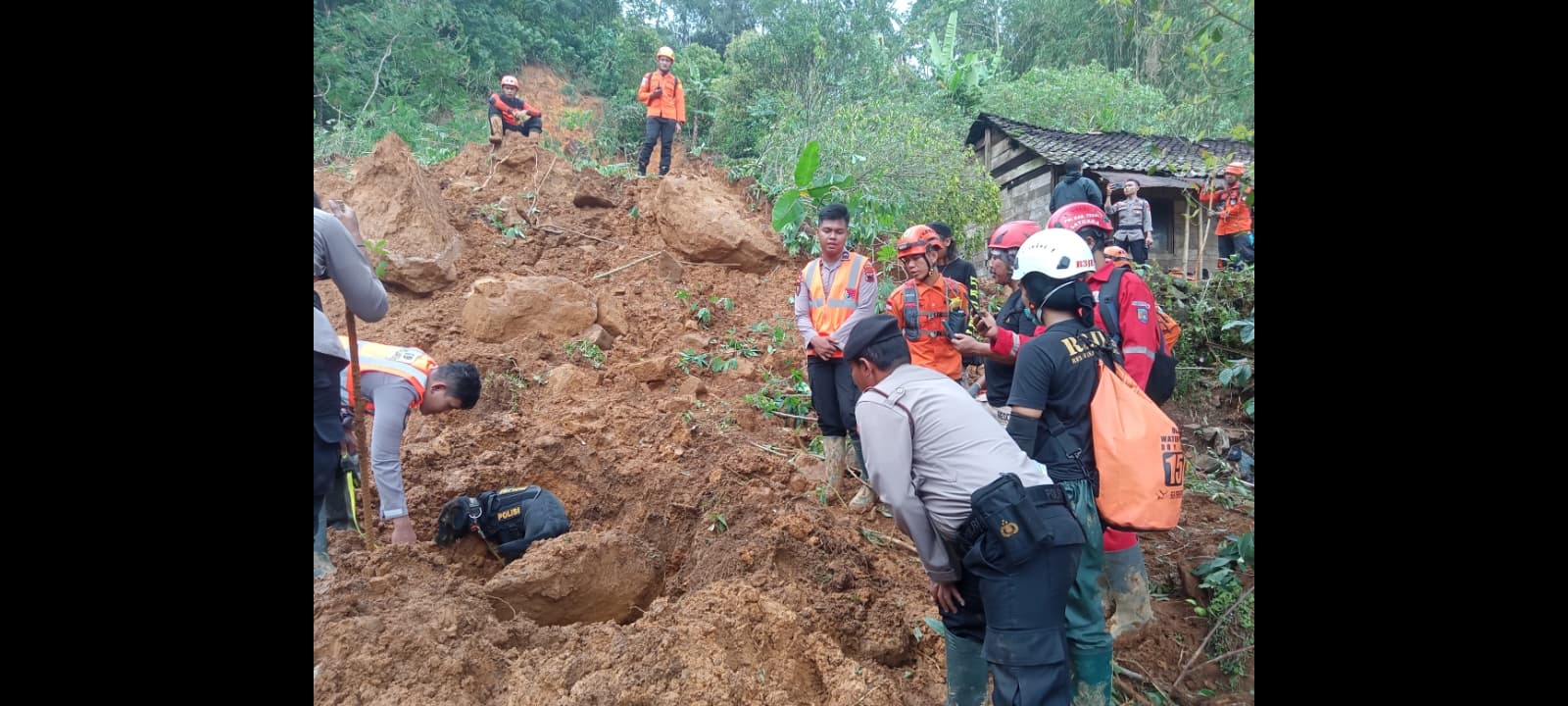 Longsor Pekalongan, Jasad Bayi Ditemukan di Antara 21 Jenazah yang Dievakuasi