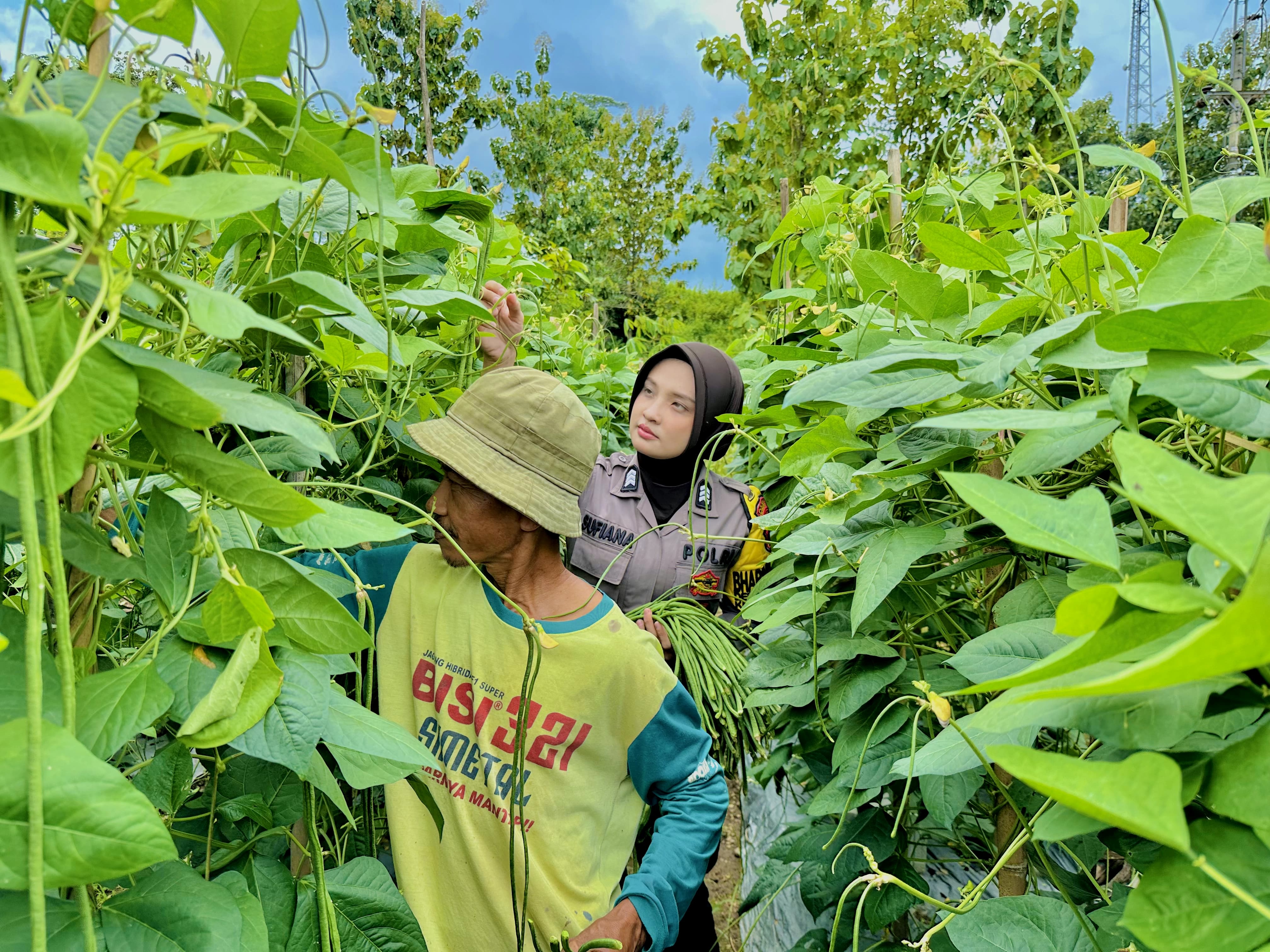 Kreatif, Polisi Cantik Brigpol Maya Ubah Pekarangan Warga Jadi Kebun Sayur yang Produktif