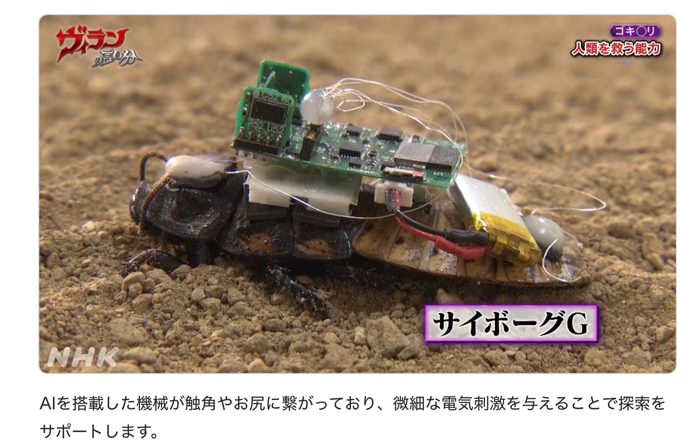 Ini Kelebihan Robot Hybrid Serangga Karya Kolaborasi Dosen Undip- Ilmuwan Jepang, Inovasi Cerdas untuk Penyelamatan Korban Bencana