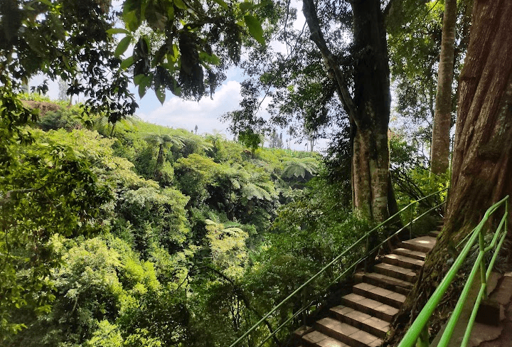 5 Tempat Wisata di Kabupaten Temanggung yang Wajib diKunjungi, Bisa Jadi Rujukan Saat Libur Mudik