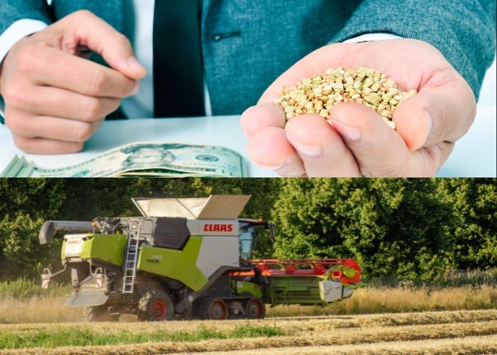 3 Jurusan dengan Peminat Terbanyak Tapi Banyak yang Gagal Masuk! Agribisnis Jadi Solusi Buat yang Nggak Masuk Manajemen?