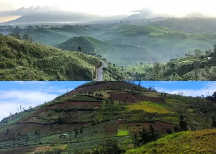 SHOCKING! 5 Destinasi Wisata Menarik di Pangalengan yang WAJIB Dikunjungi Saat Libur Lebaran 2025! (Part 1)