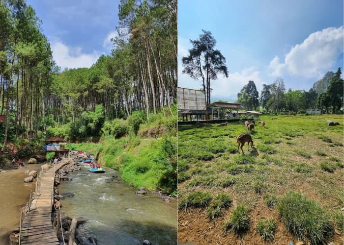 Jangan ke Bandung Sebelum Baca Ini! 5 Destinasi Wisata Terbaik di Pangalengan yang Akan Ubah Cara Pandang Libur Lebaran 2025! (Part 2)