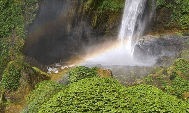 Ini Rekomendasi 4 Destinasi Wisata Air Terjun di Kawasan Malang, Sejuknya Bukan Main