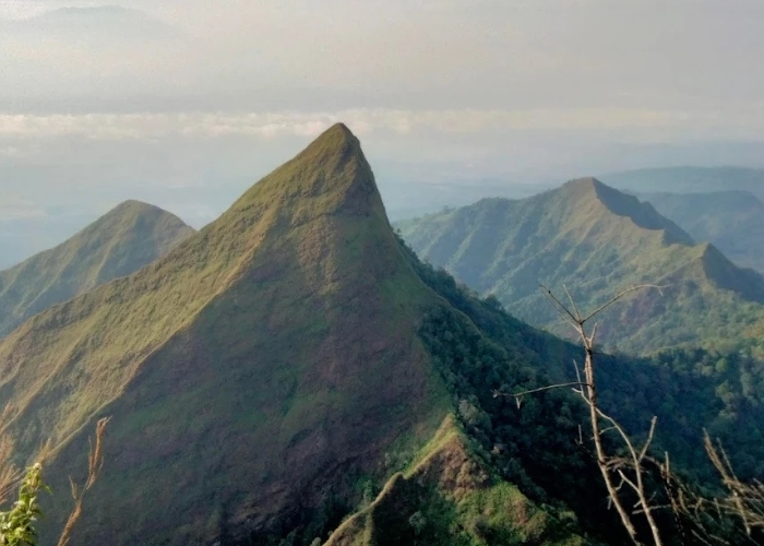 Bikin Merinding! 5 Tempat Misteri dan Angker di Bondowoso! Dari Gunung Istana Jin Hingga Air Terjun dengan Penampakan Harimau Putih! Berani Datang?