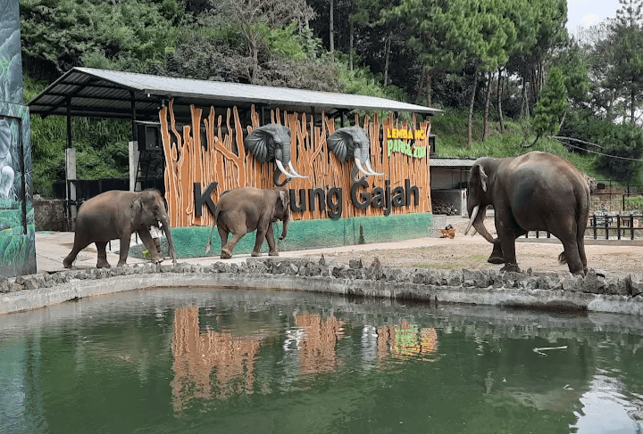 Ada 6 Pilihan Tempat Wisata Edukasi Anak di Kawasan Bandung Raya, Ajak Putra Putri Anda