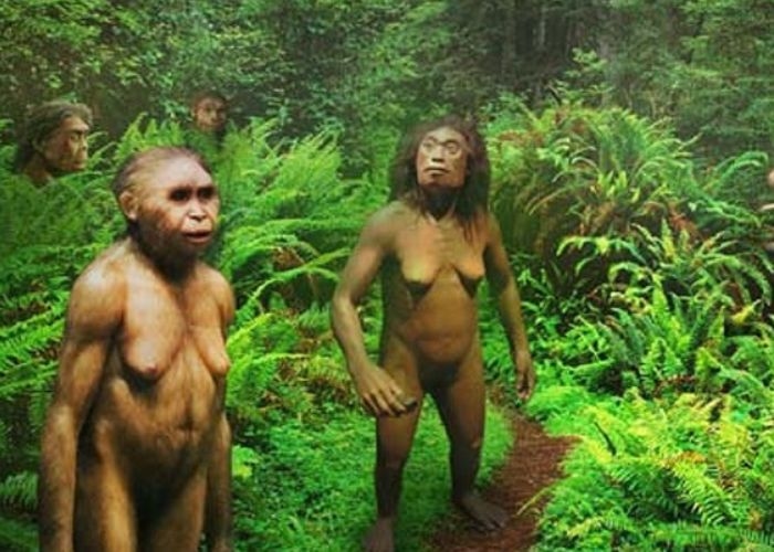 MAKHLUK MISTERI DARI SUMATERA! KERA PURBA BERJALAN TEGAK?! Jejaknya BIKIN ILMUWAN BINGUNG! ORANG PENDEK TERUNGKAP?!