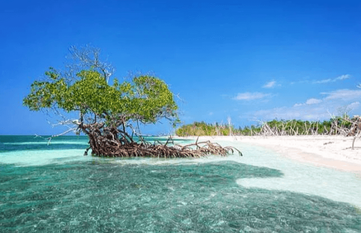 Jadi Favorit Warga! Nikmati Pesona Tempat Wisata Pantai Karang Tawulan di Kabupaten Tasikmalaya