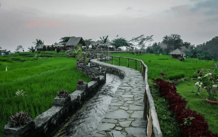 Pesona Wisata Lokal: Ada Pagubugan Melung di Kabupaten Banyumas, Cocok Bagi yang Kangen Pemandangan Sawah yang Indah