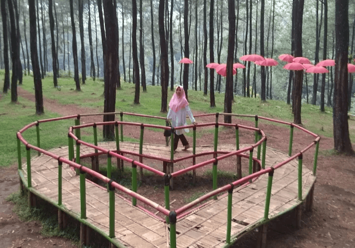 Jelajah Jateng: Nikmati Wisata Sikembang Park, Banyak Spot Selfie Menarik, Tiket Masuk Hanya Rp5.000 Saja