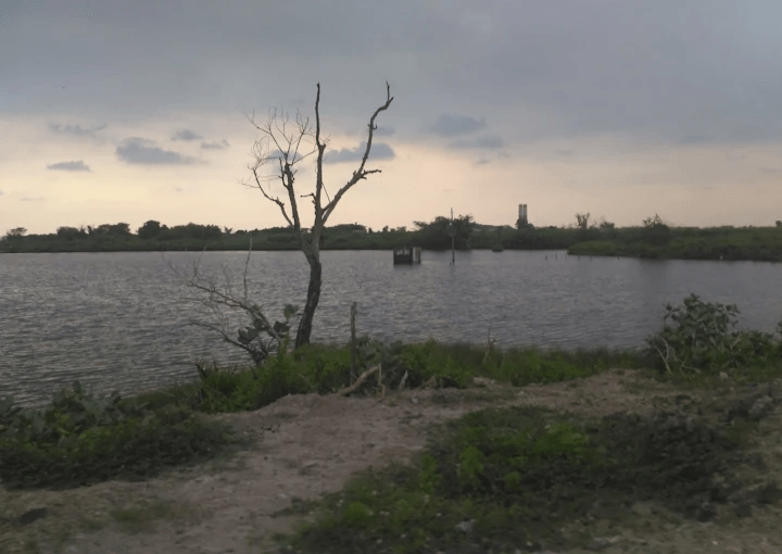 Pesona Wisata Jateng: Ada Pantai Baruna, Pantai Tenang nan Syahdu di Dekat Kota Semarang