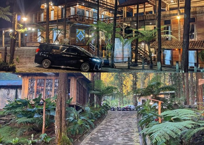 Tegal Punya Destinasi Wisata Hits dan Hutan Pinus Ajaib! Ada Glamping Mewah Sampai Spot Instagramable Tersembunyi, Tiketnya Cuma Rp7.500?!