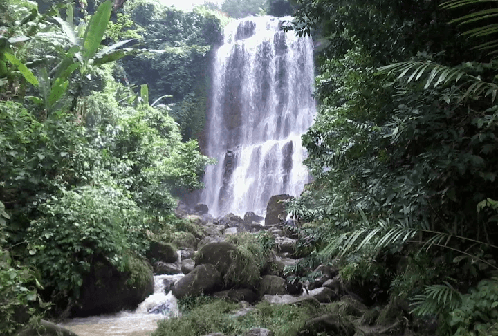 3 Tempat Wisata Favorit di Jeruklegi Kabupaten Cilacap, Pemandangannya Top