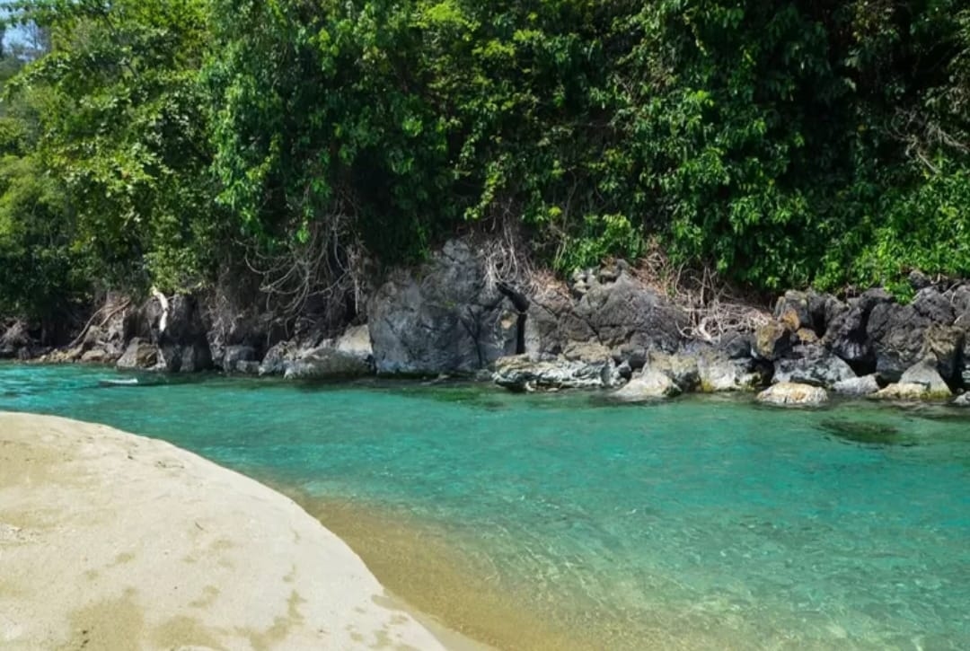 Daftar 7 Sungai Terpendek di Dunia, Indonesia Masuk Salah Satunya