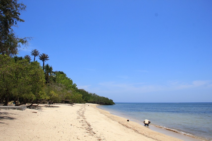 GAK NYANGKA! SURGA TERSEMBUNYI di Ujung Pulau Jawa: Pantai Bama, Keindahan di Banyuwangi yang Bikin Gagal Move On!