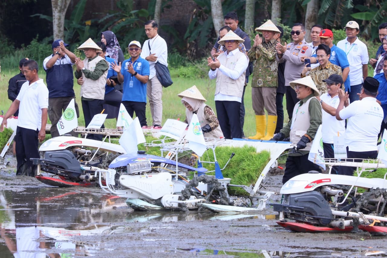 Ancam Kedaulatan Pangan, Sekda Jateng Soroti Alih Fungsi Lahan Sawah Produktif