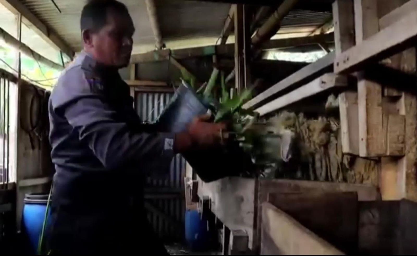 Dari Seragam Polri ke Kandang Kambing: Kisah Aiptu Agus Wujudkan Dedikasi dan Ketahanan Pangan