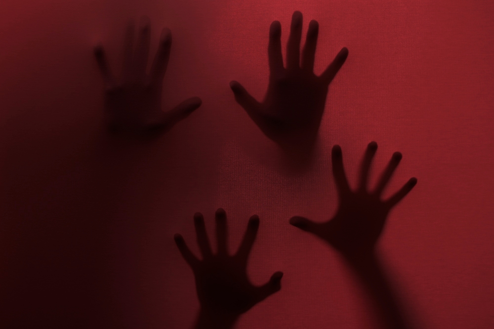 TERUNGKAP! Dibalik Senyum Tinder, Turis Amerika Mutilasi Gadis Jepang: Vonis 8 Tahun Penjara Picu Amarah Nasional!