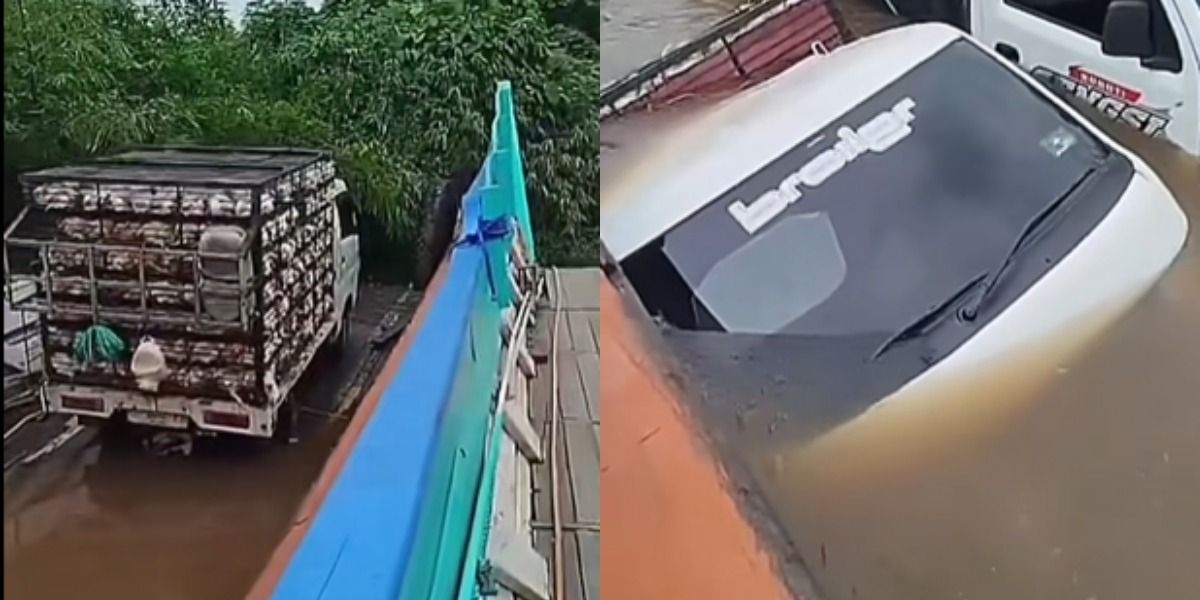 UPDATE Kronologi Feri Fatimah 2 Karam di Sungai Mahakam: Ratusan Ayam dan Sembako Ikut Tenggelam